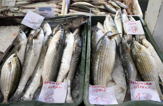 Šibenik: Bogata ponuda u šibenskoj ribarnici
