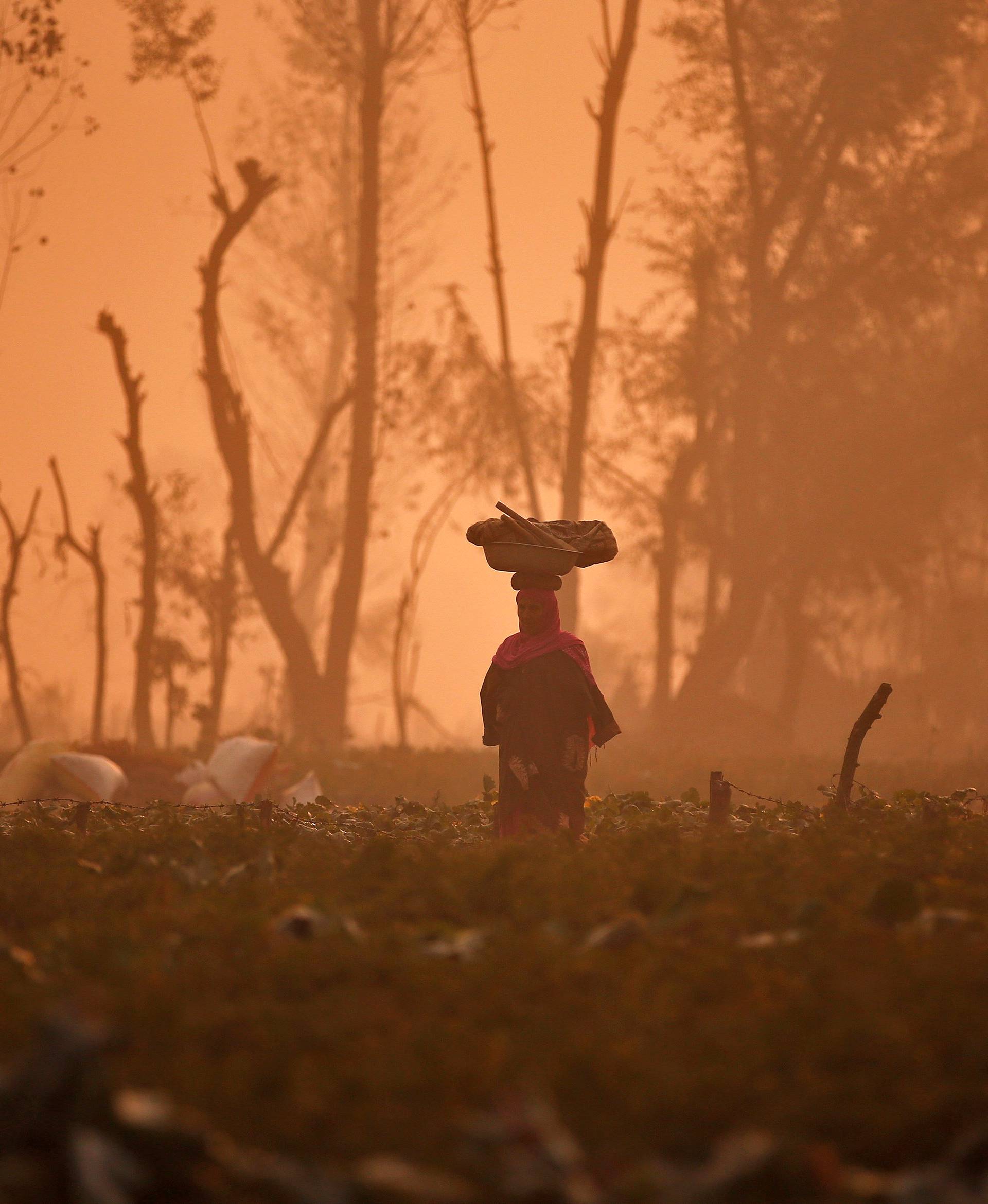 A woman carries a basket on her head through a field of vegetables on a foggy morning on the outskirts of Srinagar
