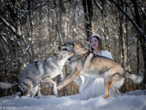 GALERIJA Nastali su od vukova, rođaci su Nazgula s Olimpijskih igara i žive kraj Velike Gorice!