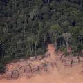 Amazonija sve brže nestaje: 'Stvari su očito izvan kontrole'