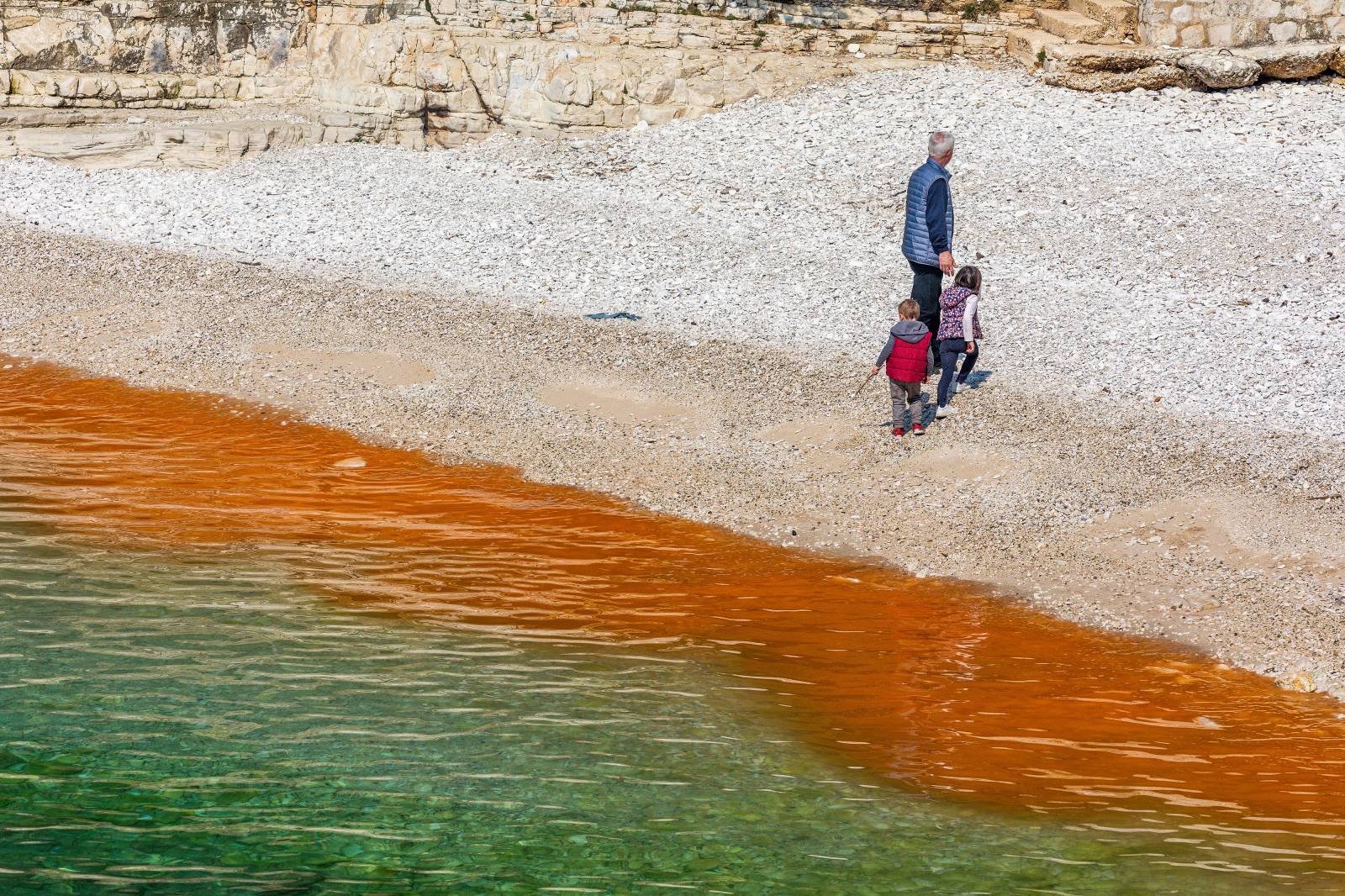 Cvjetanje mora na pojedinim pulskim plažama