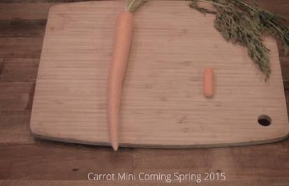 Carrot - bežična "aplikacija" uz koju ćete se bolje hraniti