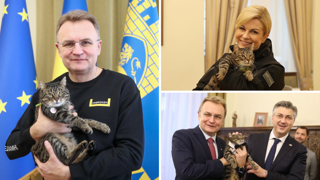 Posjetili smo mačjeg šefa grada Lavova. Gnjavili su ga i Boris Johnson, Kolinda i Plenković...