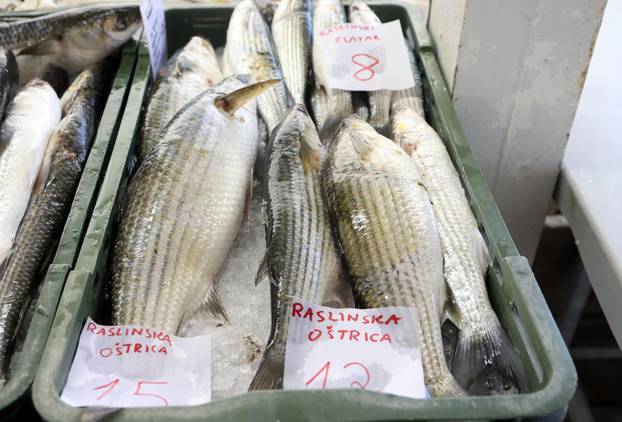 Šibenik: Bogata ponuda u šibenskoj ribarnici