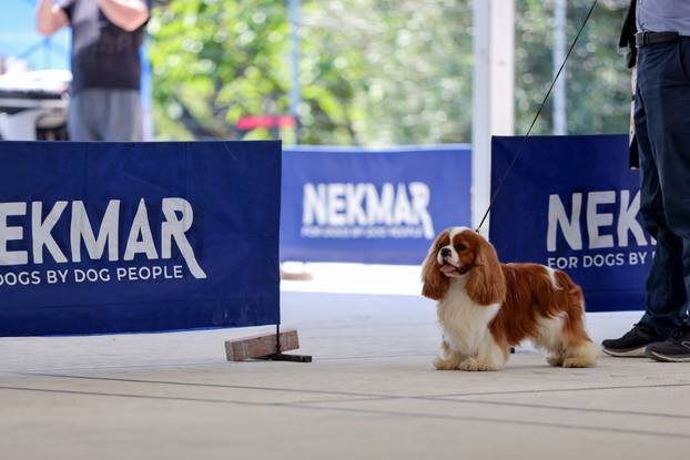 Zaton: Međunarodna izložba pasa pod nazivom CACIB Zadar 2025