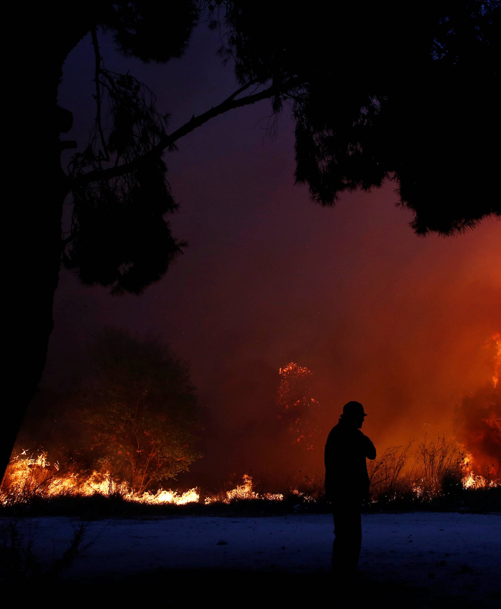 A man looks at the flames as a wildfire burns in the town of Rafina