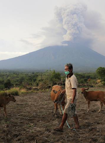 A farmer walks with his cattle as Mount Agung volcano erupts in the background in Karangasem, Bali,