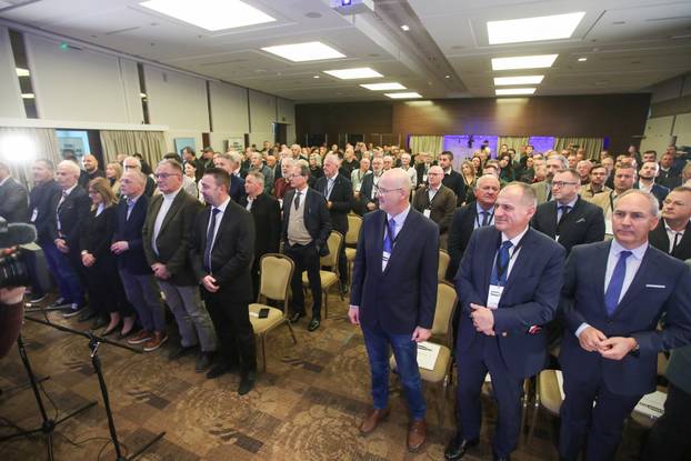 Zagreb: Stranka  Dom i nacionalno okupljanje (DOMiNO) odr&zcaron;ala je sabor 