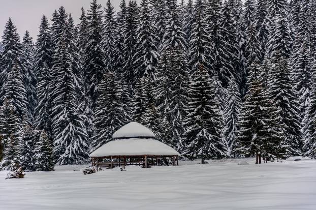 Small house covered by snow 
