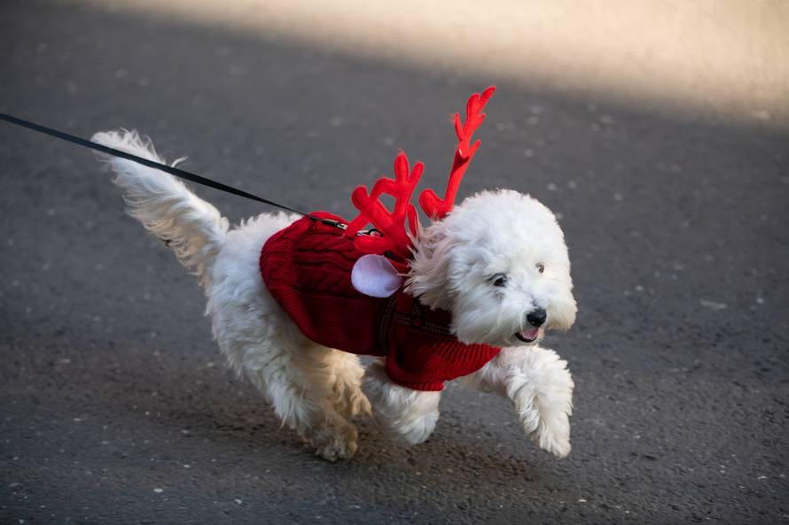 Još samo tjedan dana otvorene prijave za Zagreb Advent Run 2022.