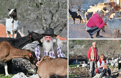 Stanovnici u Zabiokovlju muku muče s vukovima: 'Bili smo oči u oči. Naše blago je pravi mamac'