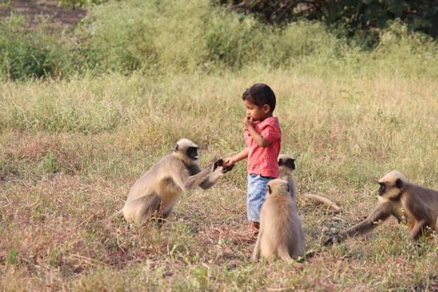 TODDLER BEFRIENDS MONKEY TRIBE