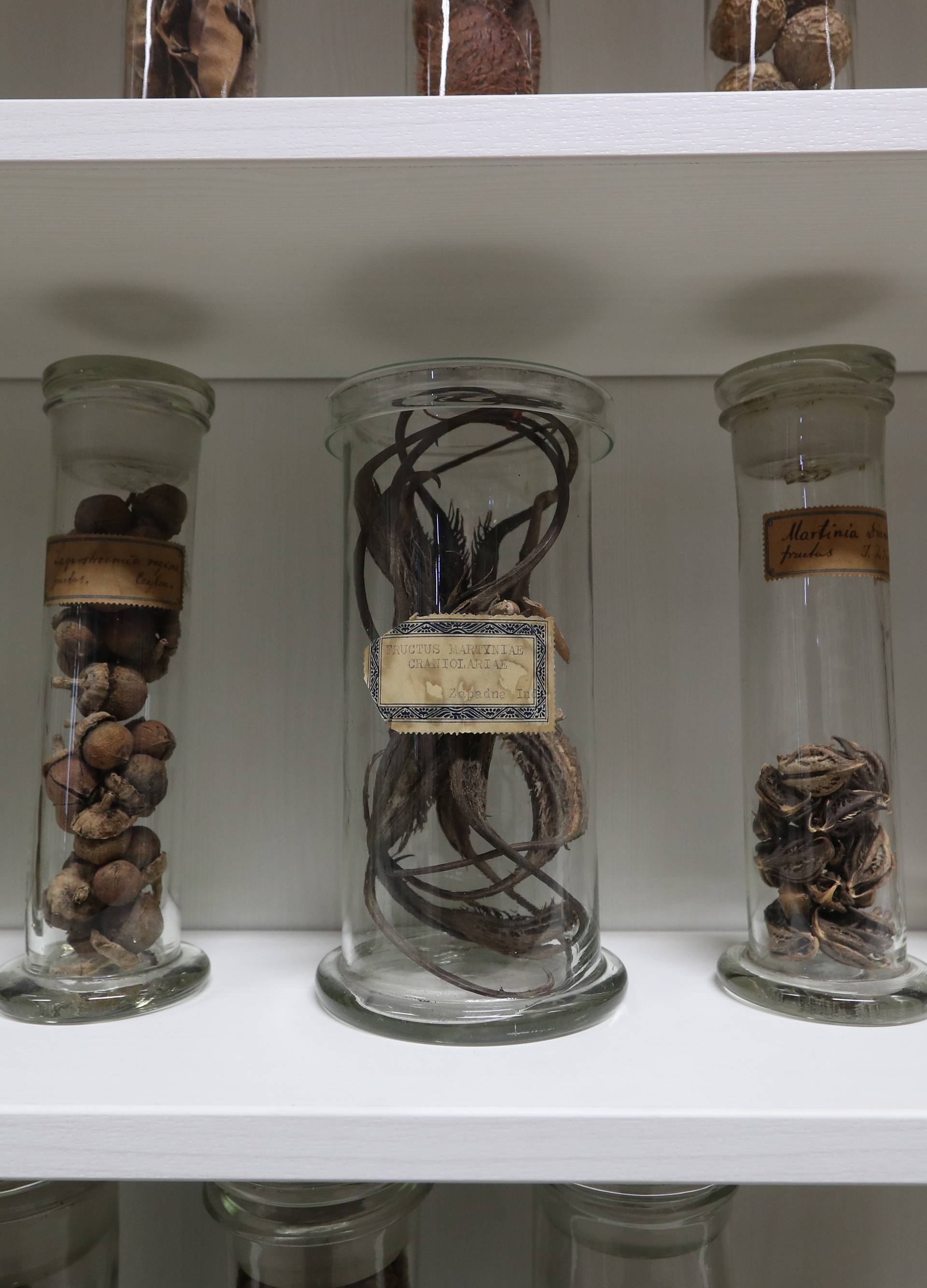 Veličanstvena zbirka: Opijum, španjolske mušice i afrodizijaci