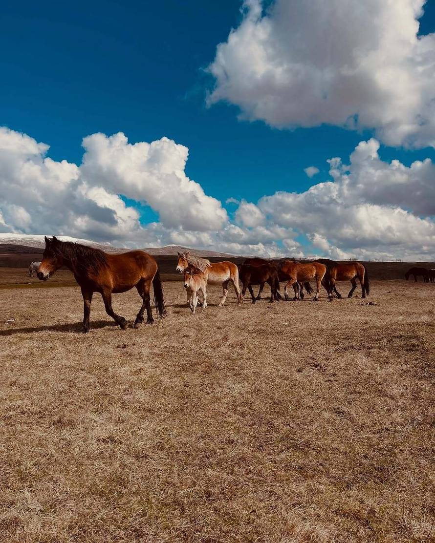 Cenov, Stankica i Stela Rade su uživali u Livnu na pretpremijeri: 'U filmu je čak i Mate Rimac!'