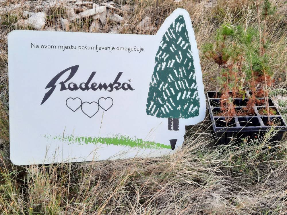 Radenska podsjeća na važnu ulogu stabala. Bez zelenila jednostavno nema života