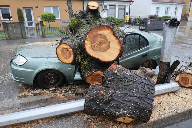 Zagreb: Nevrijeme srušilo stablo koje  je palo na automobil 