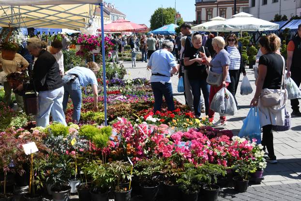 Najveći sajam cvijeća u Podravini privakao pažnju mnogobrojnih ljubitelja flore