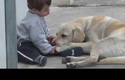 Pažljivi labrador osvojio je srce malenog dječaka