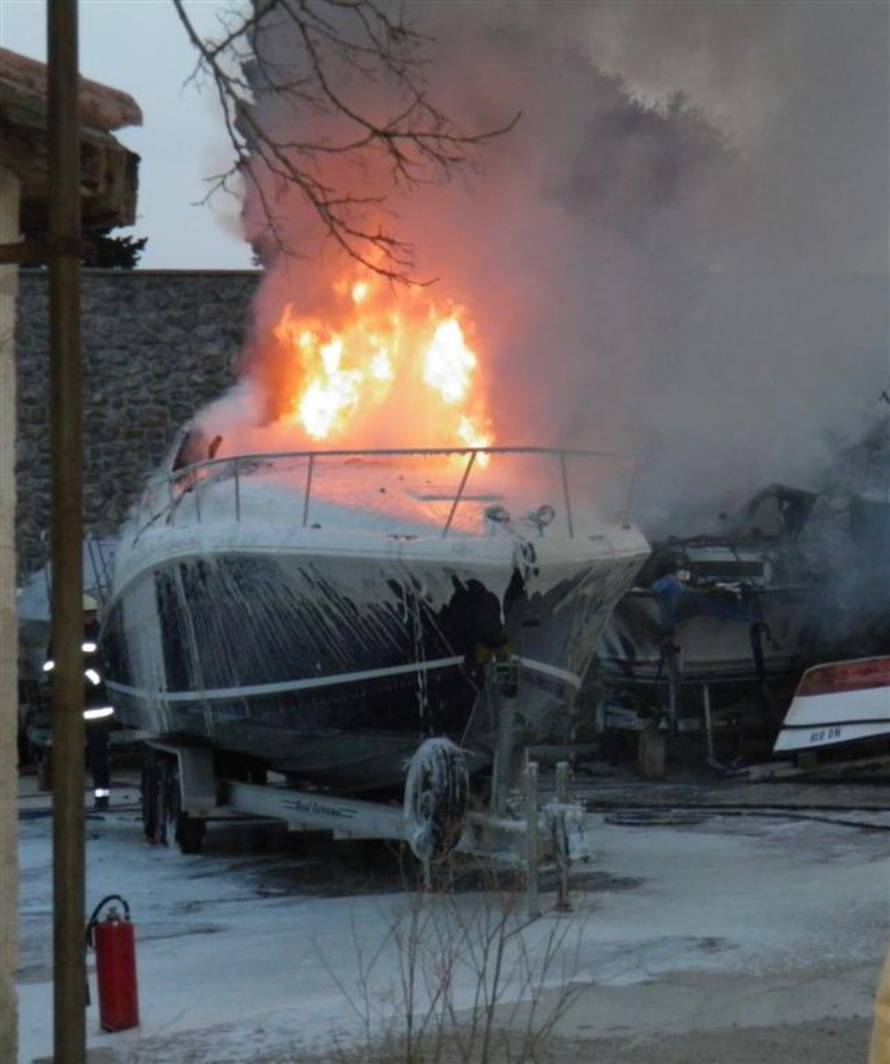 Velimir Topolovec/DVD