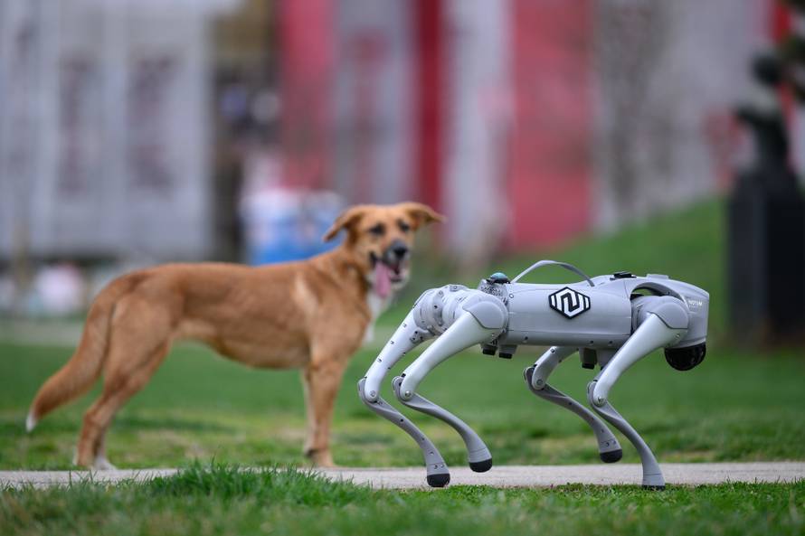 Inovacija iz Velike Gorice: Robotski pas može spašavati, snimati i ići na opasna mjesta, ali i biti čovjekov najbolji prijatelj