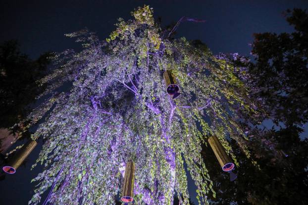 Zagreb: Noćni ugođaj u parku Bele IV. uz svjetlosno-zvučnu instalaciju