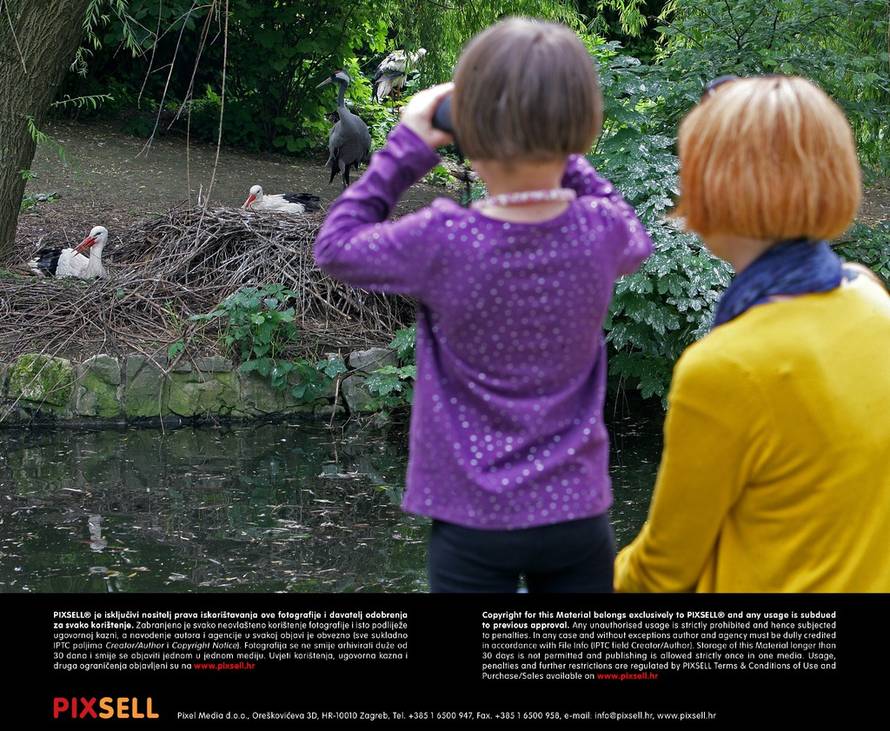 Grgur Žućko/Pixsell