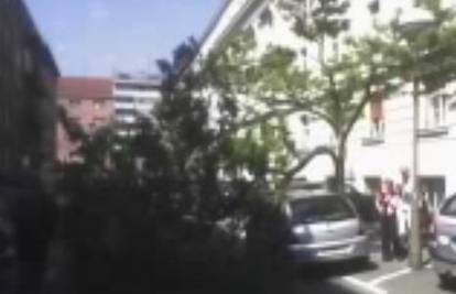Na nepropisno parkirani auto u Zagrebu pala grana
