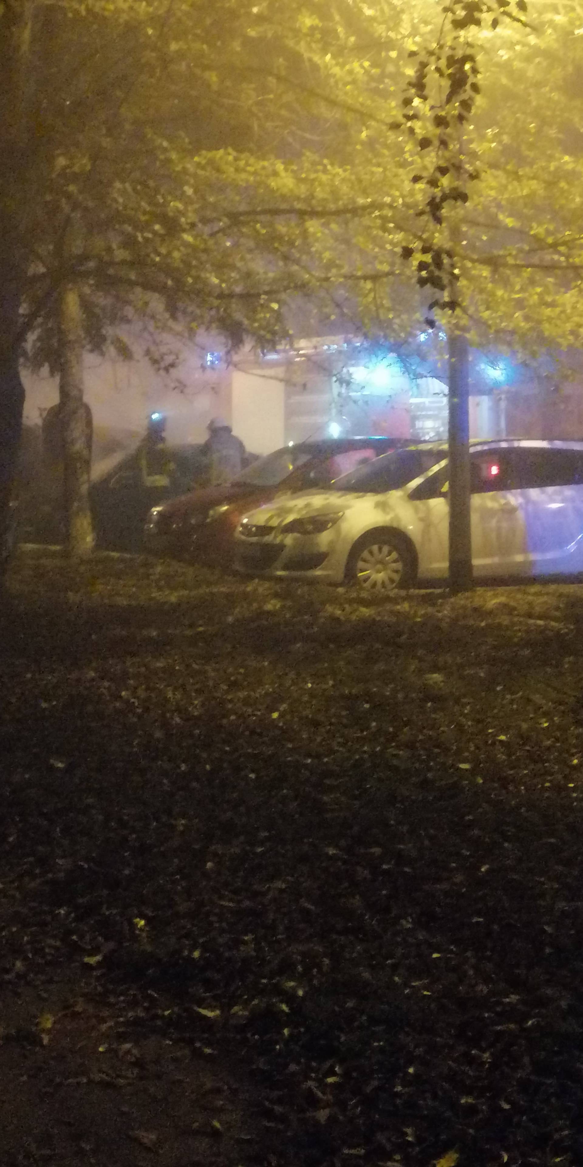 Izgorio je automobil u Borovu, buktinju su ugasili vatrogasci