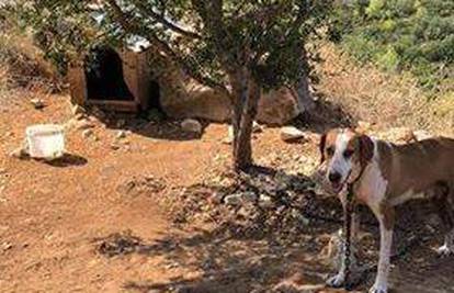 Užas na Lastovu: Psa su vezali za drvo i ostavili ga bez vode