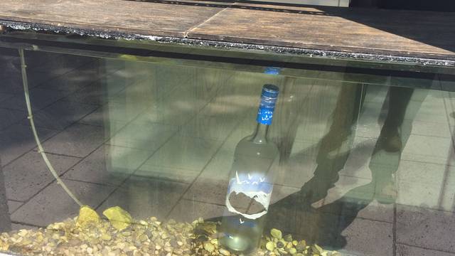 Pijani Australac(21) razbio je akvarij vrijedan 44 tisuće kuna