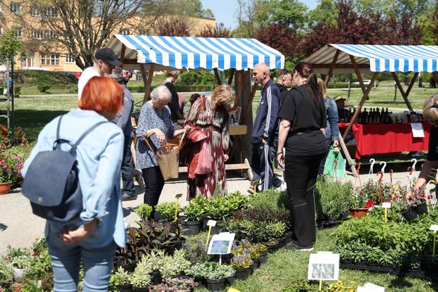 Osijek: Festival cvijeća i drveća 2026.