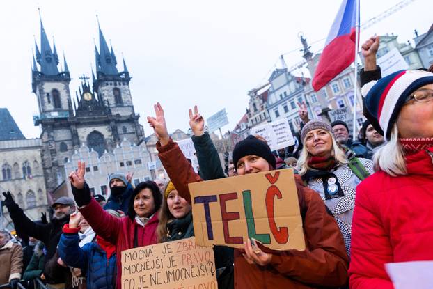 A demonstration in support of Czech President called "We stand for our President" in Prague