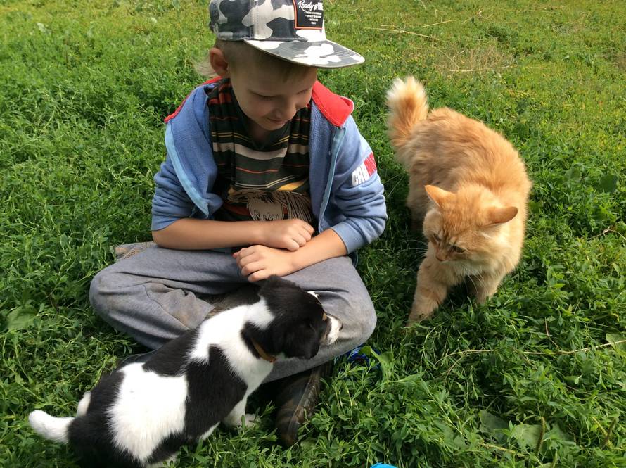 Talentirani dječak mijenja svoje slike da pomogne psima u azilu