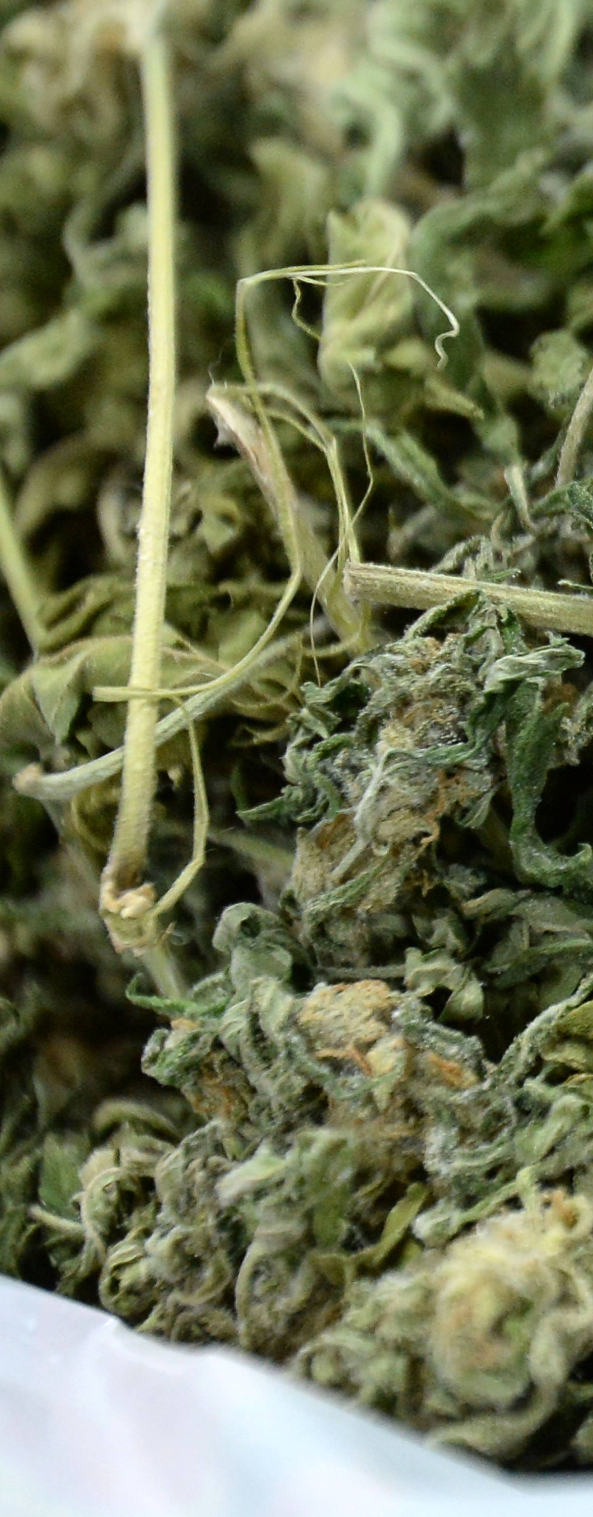 Međimurski policajci otkrili su laboratorij za uzgoj marihuane